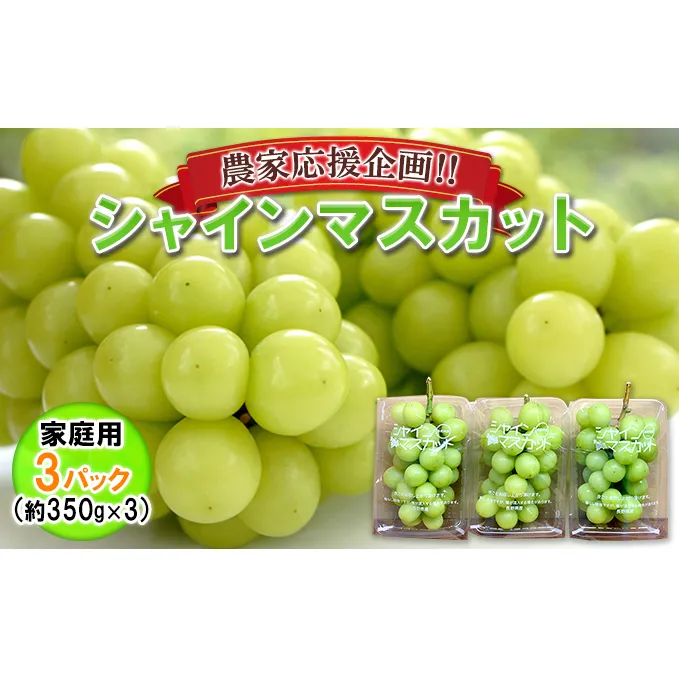 【農家応援企画！！】シャインマスカット家庭用3パック（約350g×3）※オンライン決済限定