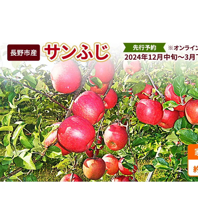 先行予約 長野市産サンふじ家庭用 約5kg 2024年12月～3月発送 ※オンライン決済限定