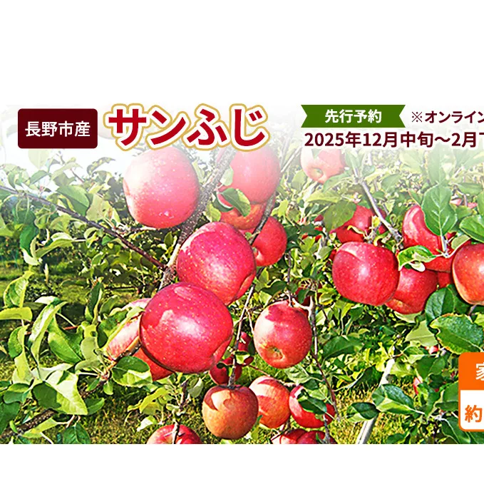 先行予約 長野市産サンふじ家庭用 約10kg 2024年12月～2月発送　※オンライン決済限定