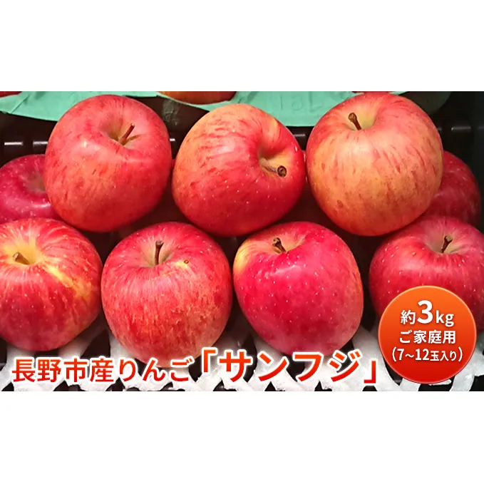 長野市産りんご「サンフジ」約3kg　ご家庭用(7～12玉入り)※配送不可地域あり