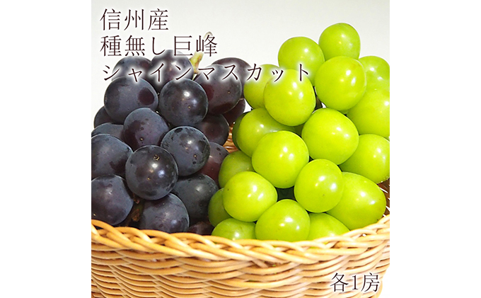 2024年先行予約※【信州長野県産】シャインマスカット＆種無し巨峰各１房｜長野市｜長野県｜返礼品をさがす｜まいふる by AEON CARD