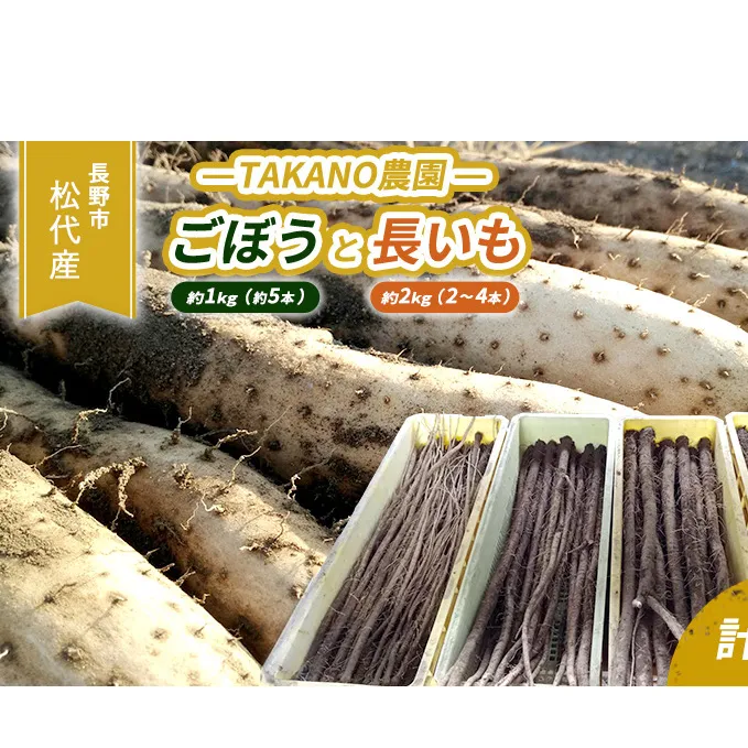 先行予約 長野市松代産 TAKANO農園　ごぼう（約1kg）【約5本】と長いも（約2kg）【2～4本】計3kg