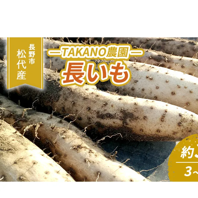 先行予約 長野市松代産 TAKANO農園　長いも 約3kg【3～5本】