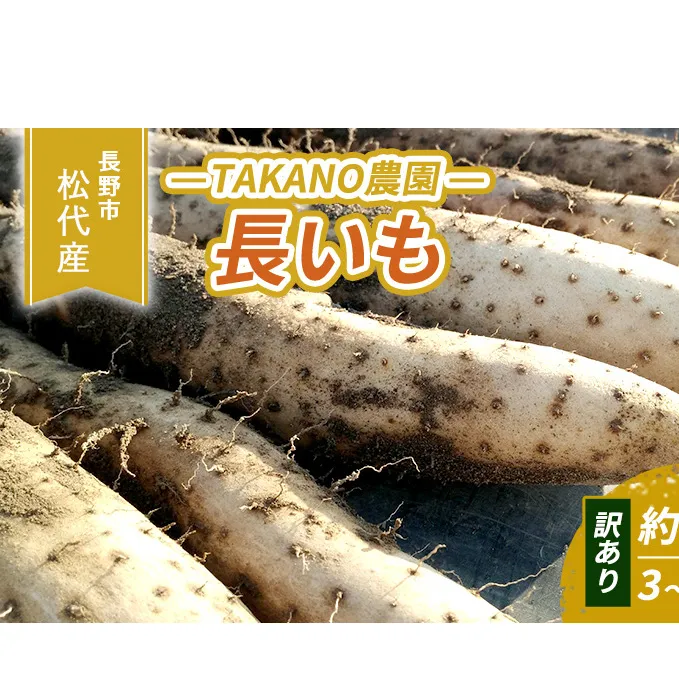 先行予約 長野市松代産 TAKANO農園　長いも 約5kg（訳あり）【3～10本】