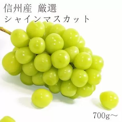 2024年先行予約  厳選シャインマスカット700～800g以上（１房) 長野県産 