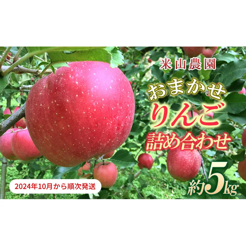 りんご 米山農園のおまかせりんご詰め合わせ約5kg 2024年10月から順次発送 紅玉 秋映え シナノスイート シナノゴールド 王林 さんふじ セット 長野県 長野市