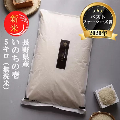 ベストファーマーズ賞受賞 長野県産 いのちの壱 5kg（無洗米）