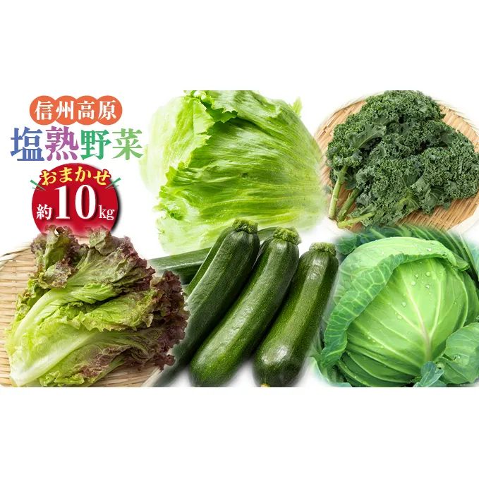 信州高原塩熟野菜 約10kg お任せ