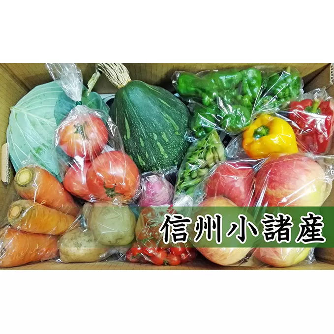 信州小諸 母ちゃんから季節野菜の贈り物 長野 野菜詰合せ