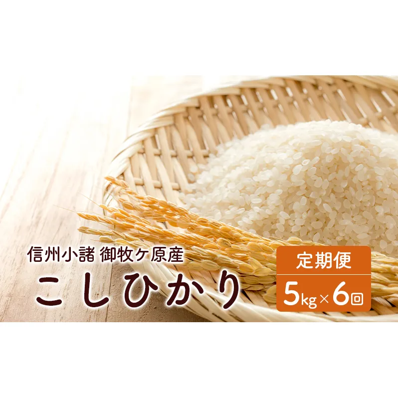 信州小諸 御牧ケ原産こしひかり定期便（5kg×6回）