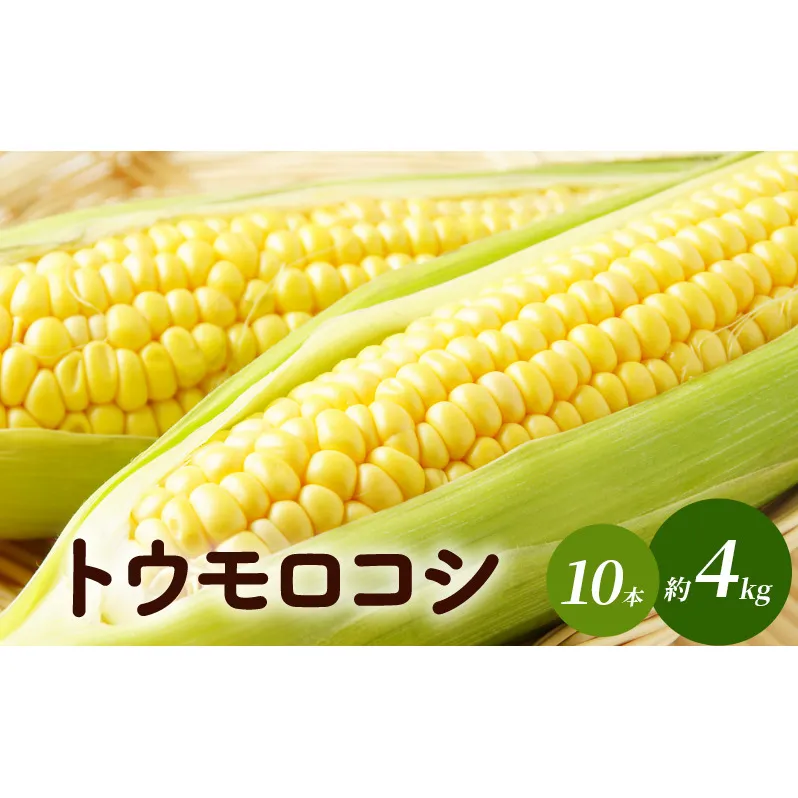 トウモロコシ（味来・ゴールドラッシュ）10本　約4kg