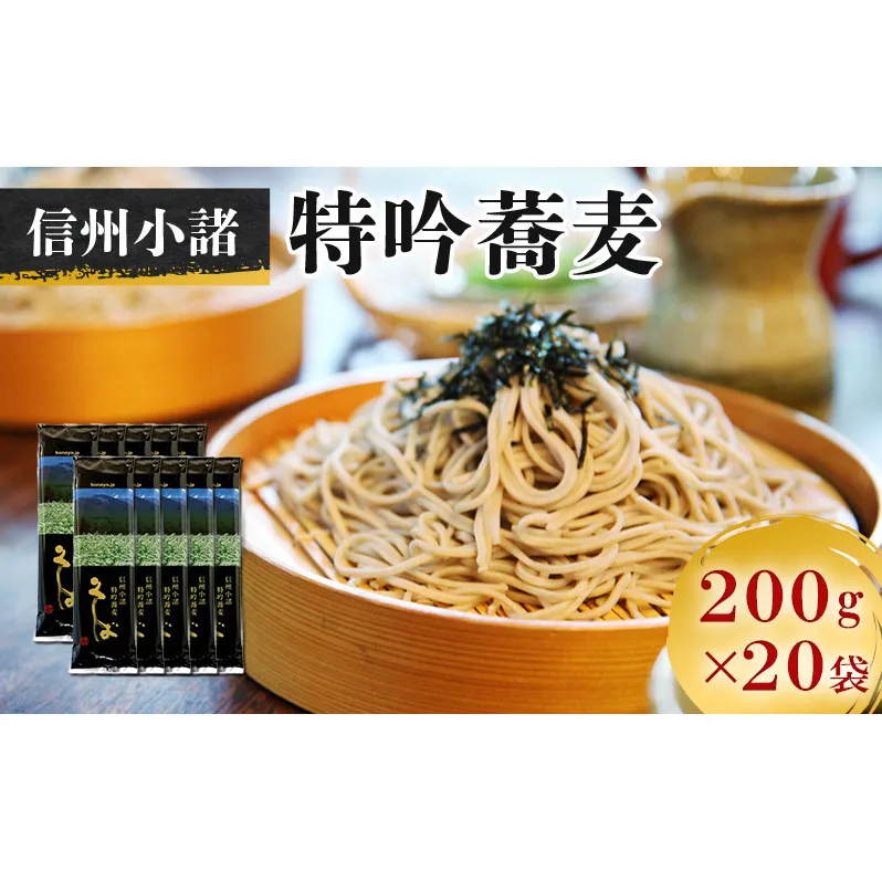 そば　小諸特吟蕎麦　200g×20袋　40人前　麺類　そば　蕎麦　乾麺　信州そば　お取り寄せ　年越しそば　長野　ご当地 大容量　業務用