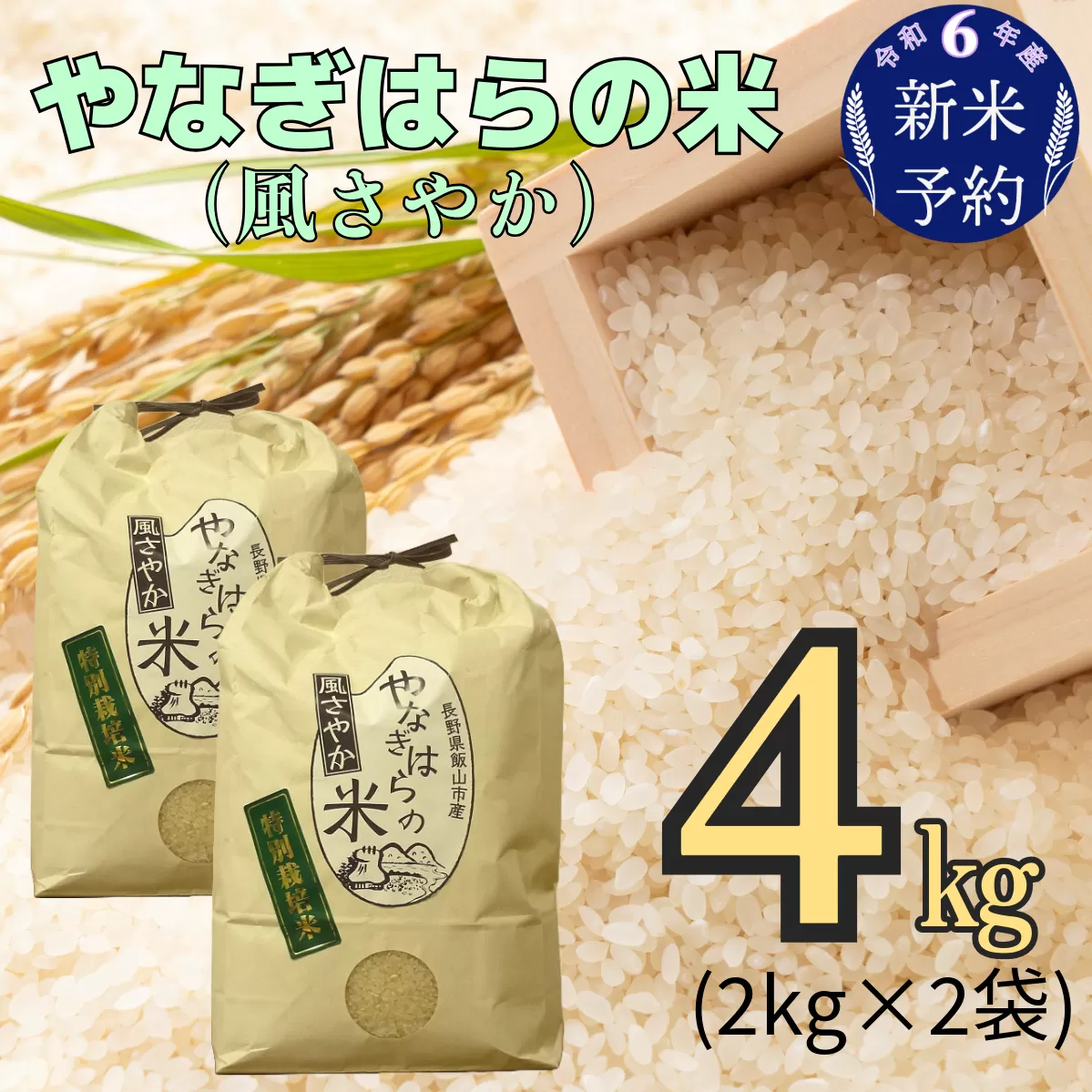 【令和6年産 新米予約】「やなぎはらの米　風さやか」4㎏ (6-41)