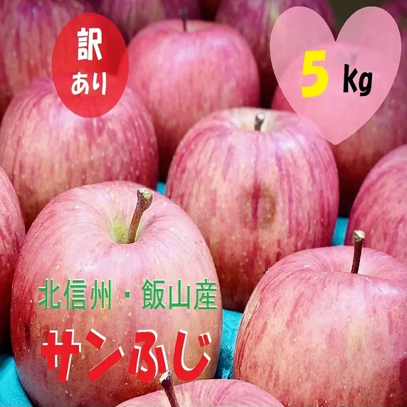 【先行予約】 【訳あり】サンふじ 約5kg（2024年産） (Ab-1)