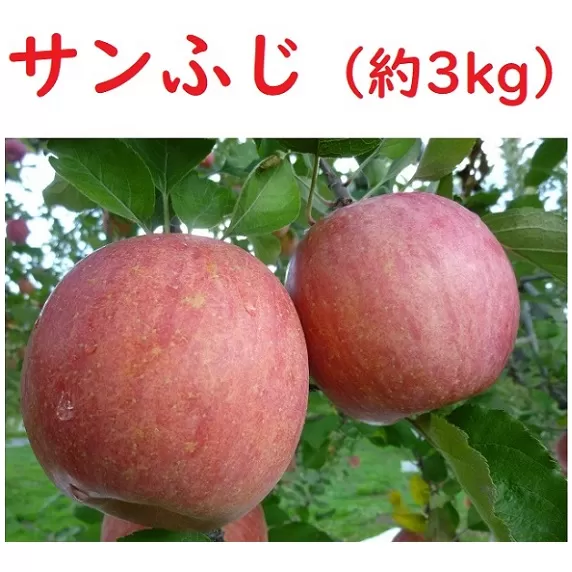 【先行予約】 サンふじ 約3kg（2024年産） (Aa-1)