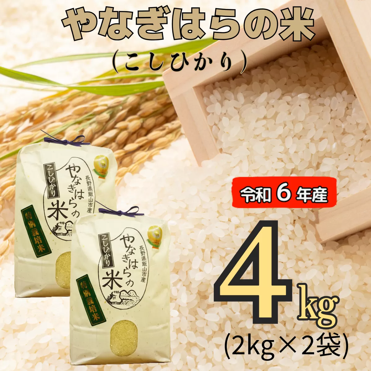 【令和6年産】「やなぎはらの米　こしひかり」4㎏ (6-39A)