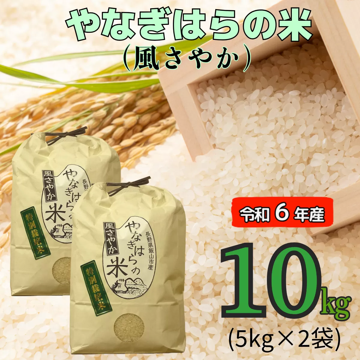 【令和6年産】 「やなぎはらの米　風さやか」10㎏ (6-42A)