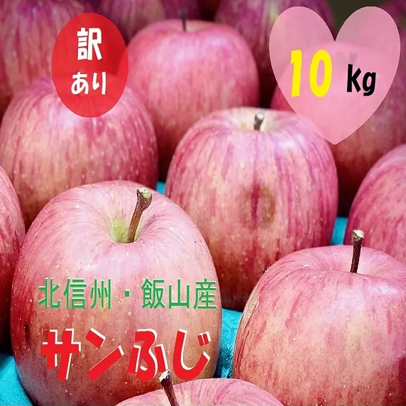 【先行予約】 【訳あり】サンふじ 約10kg（2024年産） (H-1.8)