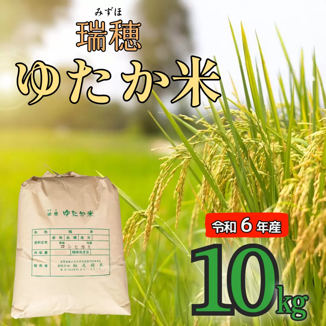 【令和6年産】瑞穂 ゆたか米 10kg（6-81A）