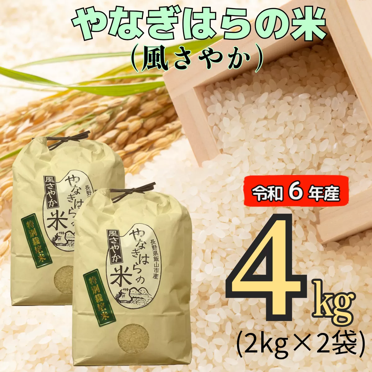 【令和6年産】「やなぎはらの米　風さやか」4㎏ (6-41A)