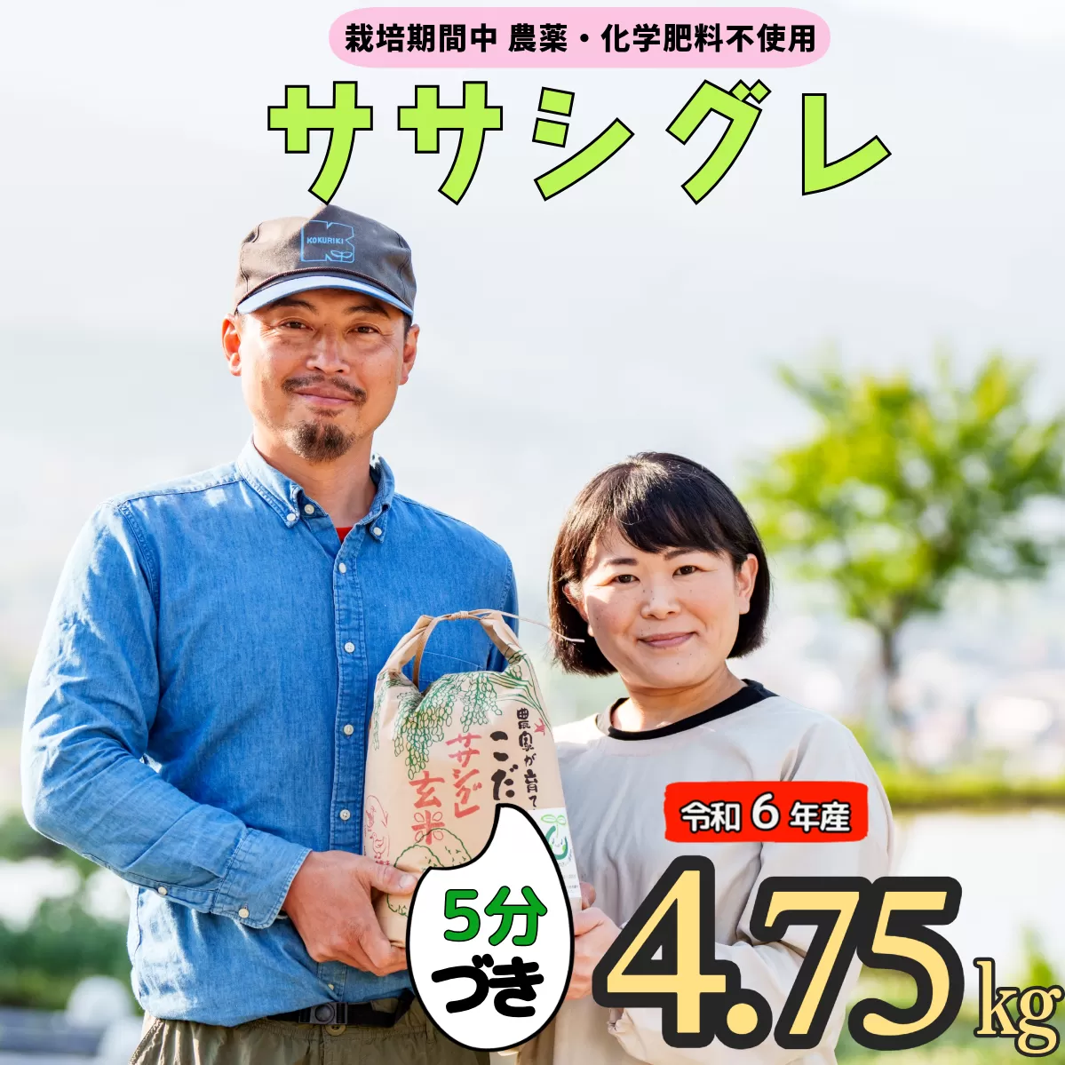 令和６年産 【栽培期間中 農薬・化学肥料不使用】ササシグレ(5分づき)4.75kg真空包装(6-51A)