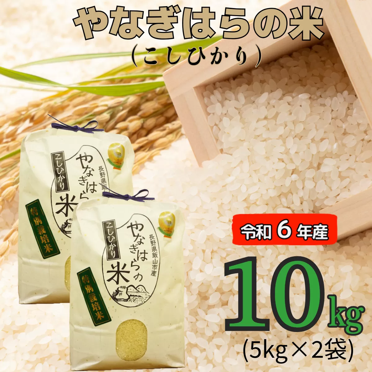 【令和6年産】「やなぎはらの米　こしひかり」10㎏ (6-40A)