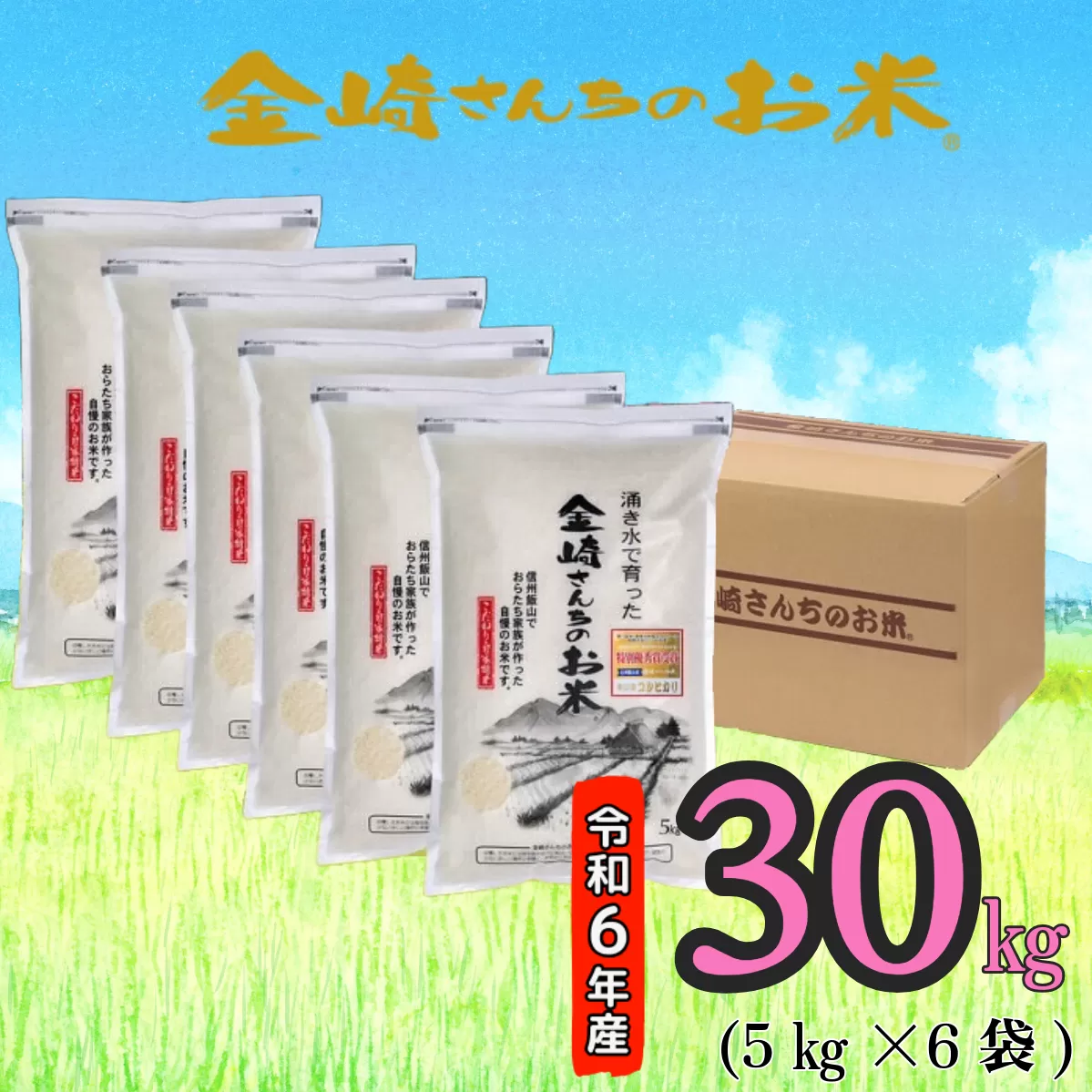 【令和6年産】「金崎さんちのお米」30kg(6-4A)