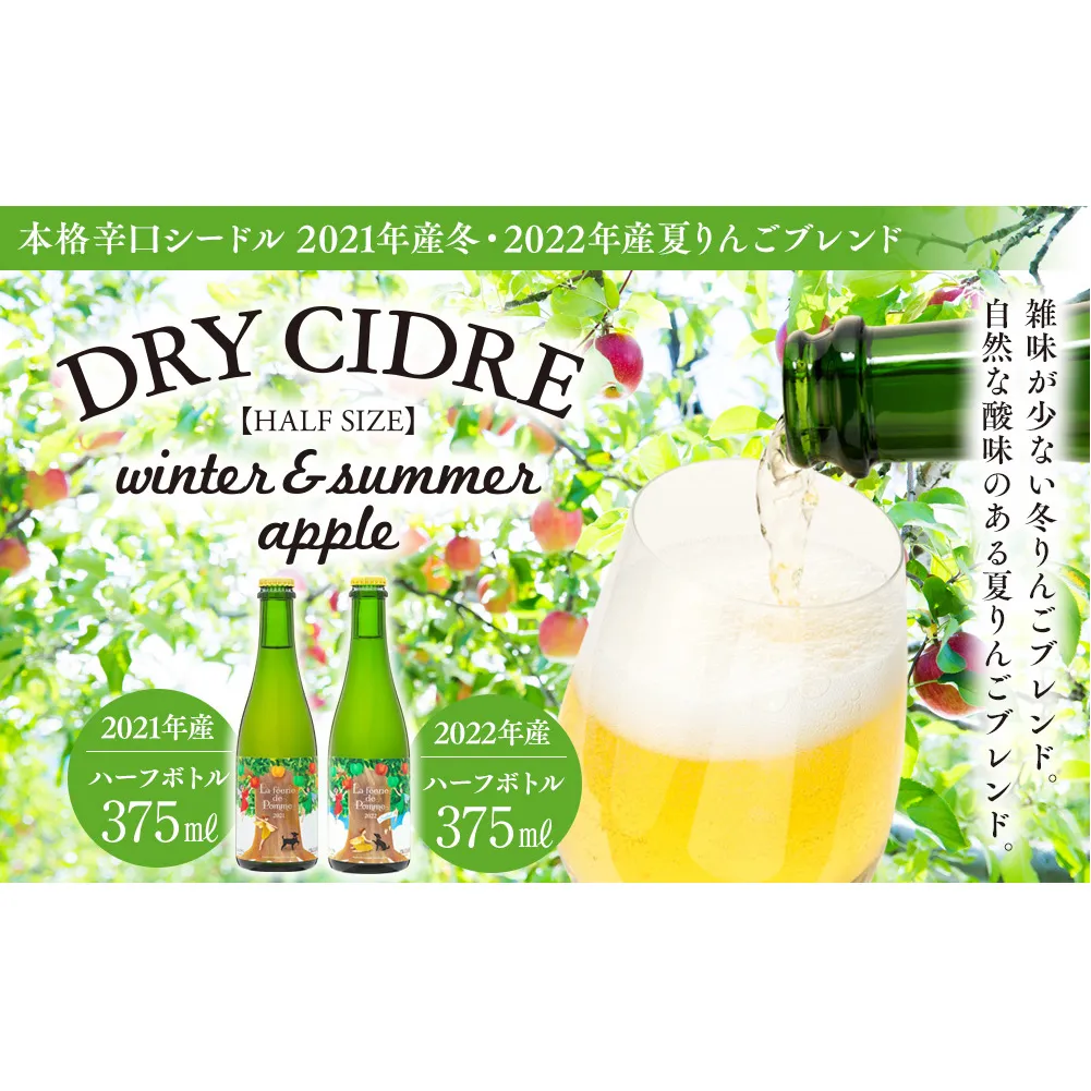 シードル 2021年産冬 2022年産 2本 詰め合わせ セット ハーフボトル 飲み比べ アップルシードル 辛口 りんご 夏リンゴ フルーツ 果物 お酒 酒 果実酒 アルコール 家飲み ギフト プレゼント 贈答 贈り物 お祝い 長野 長野県 箕輪町