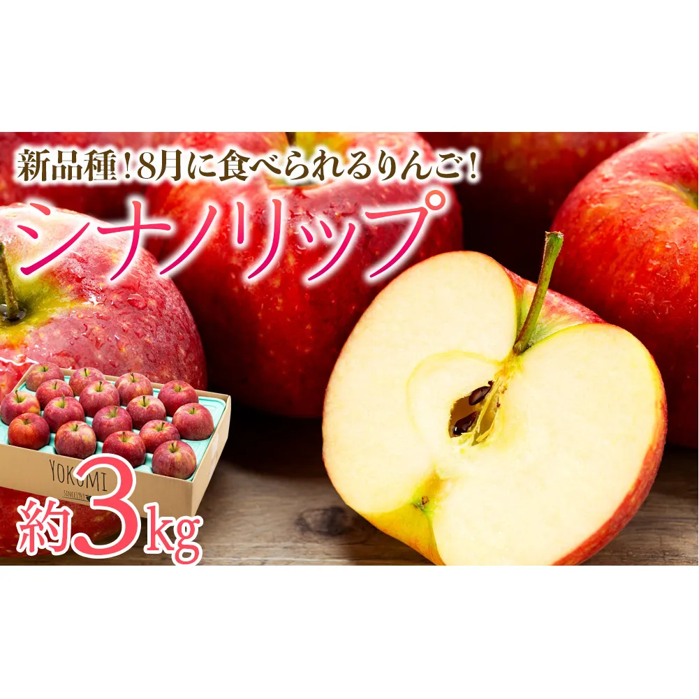 先行予約 りんご シナノリップ 約3kg 2024年 令和6年度発送分 リンゴ 林檎 長野 フルーツ 果物 信州産 長野県産 特産 産地直送 おすすめ