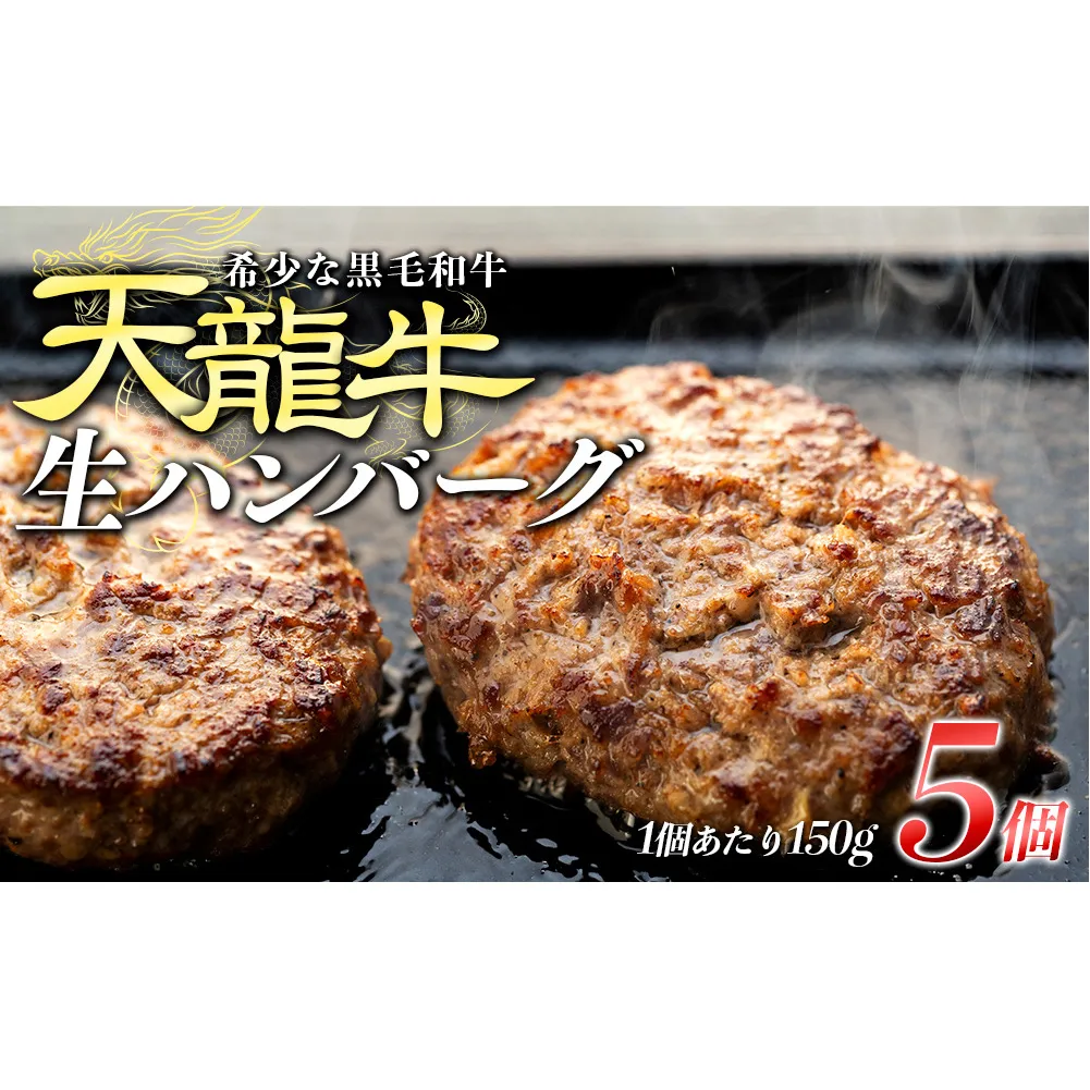 【希少な黒毛和牛】天龍牛生ハンバーグ150g×5個 ハンバーグ 天龍牛 黒毛和牛 長野県産 信州産 お肉 国産 希少