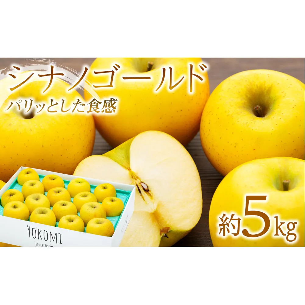 先行予約 りんご シナノゴールド 5kg 2024年 令和6年発送 完熟りんご パリッとした食感 林檎 リンゴ 果物 くだもの フルーツ 旬の果物 旬のフルーツ 信州 長野 長野県