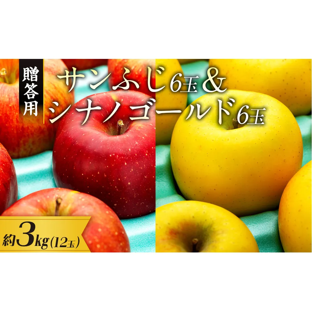 【贈答用】りんご 長野 サンふじ6玉&シナノゴールド6玉　 約3kg （12玉）