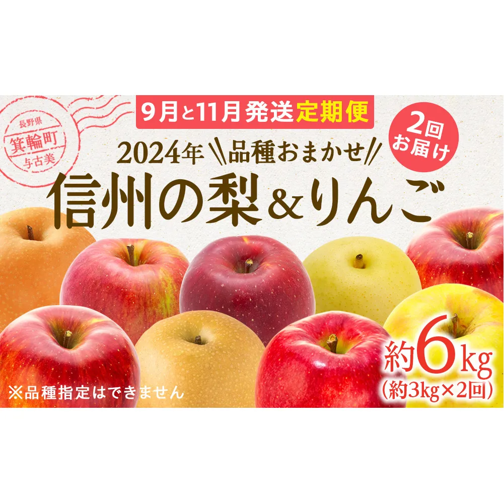 梨 リンゴ 定期便 2ヶ月 長野 信州の梨 りんご 各約3kg セット 品種おまかせ フルーツ 果物 産地直送 豊水 南水 サンふじ 名月 あいかの香り シナノゴールド シナノホッペ 長野県 2024年 2024 定期 2回