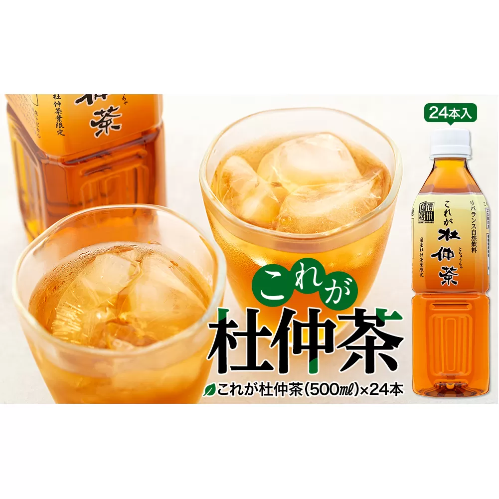 これが杜仲茶 500ml 24本 ペットボトル 杜仲茶 お茶 茶 健康 ノンカフェイン 化学合成農薬不使用 飲料 ドリンク 飲み物 清涼飲料水 信州 長野 長野県