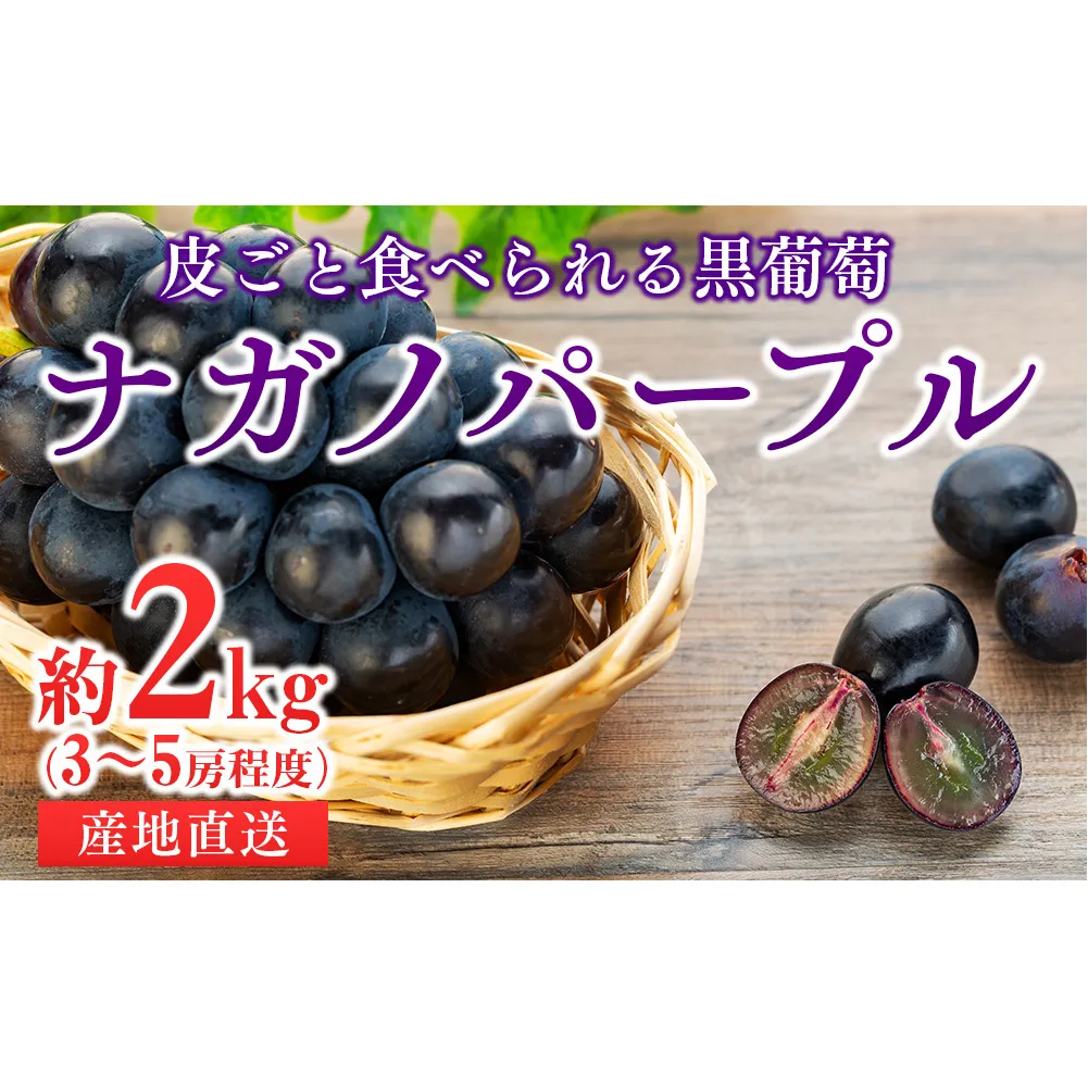 皮ごと食べられる黒葡萄 ナガノパープル約2kg ※クレジット限定 葡萄 ぶどう ブドウ 長野 フルーツ 果物 信州産 長野県産 特産 産地直送 おすすめ デザート