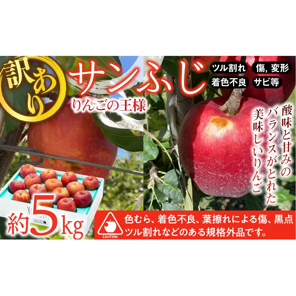 先行予約 訳あり りんご さんふじ 約5kg 2024年 令和6年度発送分 リンゴ 林檎 長野 フルーツ 果物 信州産 長野県産 特産 産地直送 家庭用 おすすめ