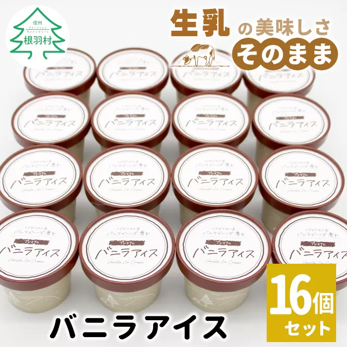 マダガスカル産 バニラビーンズ使用!バニラアイスクリーム (80ml)×16個入り バニラ ミルク スイーツ アイス おやつ 菓子 ご当地