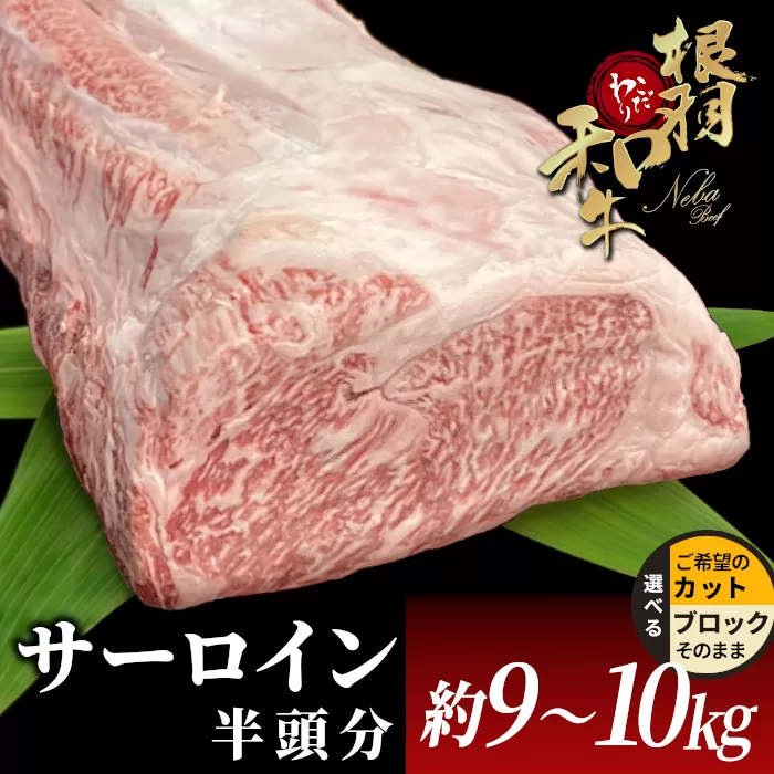 根羽こだわり和牛 サーロイン 半頭分 約9～10kg サーロイン ブロック肉　塊肉 塊 牛肉 国産牛 お祝い パーティ ステーキ 焼肉 BBQ 霜降り すき焼き しゃぶしゃぶ 大人数