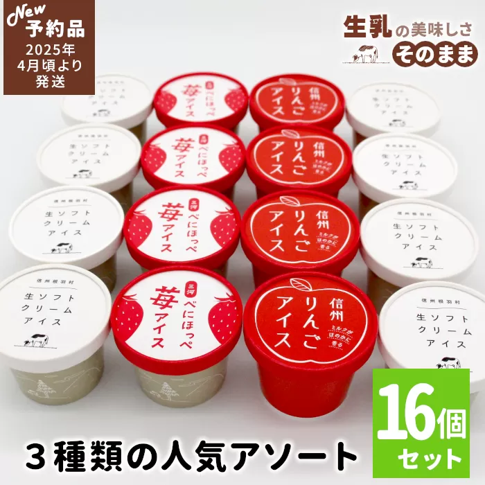 ✿新商品・先行予約✿3種類の人気アソート 16個入り 80ml 100ml　アイスクリーム アイス 生ソフト りんご 苺