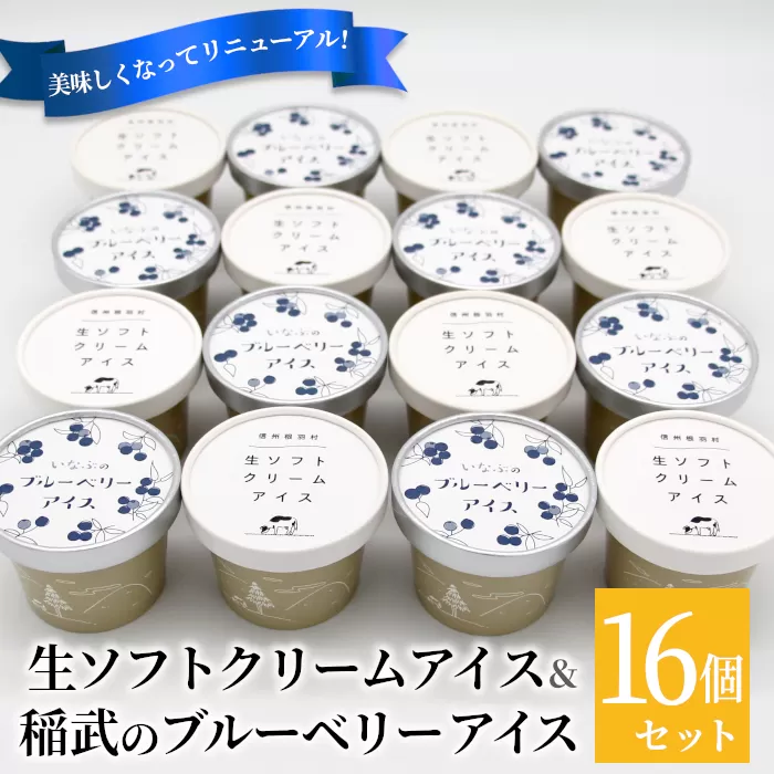 南信州産の生乳を100％使用! 生ソフトクリームアイス & ブルーベリーアイス　(80ml)×16個セット