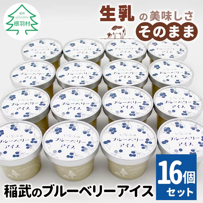 無農薬!皮ごと使用!30品種をブレンドした ブルーベリー アイス(80ml)×16個入り スイーツ アイス おやつ ギフト 贈答用 ご当地