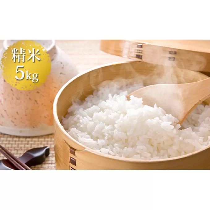 いくさかのお米 5kg 白米 こしひかり コシヒカリ 米