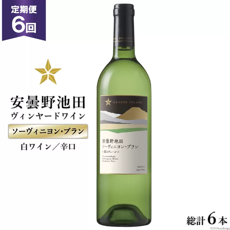 6回 定期便 白ワイン サッポロ グランポレール 安曇野池田ヴィンヤード「ソーヴィニヨン・ブラン」750ml 総計6本 [池田町ハーブセンター 長野県 池田町 48110616] 白 ワイン 辛口 お酒 酒