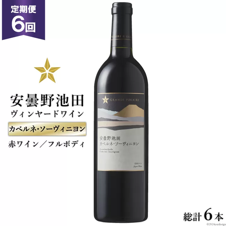 6回 定期便 赤ワイン サッポロ グランポレール 安曇野池田ヴィンヤード「カベルネ・ソーヴィニヨン」750ml 総計6本 [池田町ハーブセンター 長野県 池田町 48110625] 赤 ワイン フルボディ 濃厚 凝縮 お酒 酒