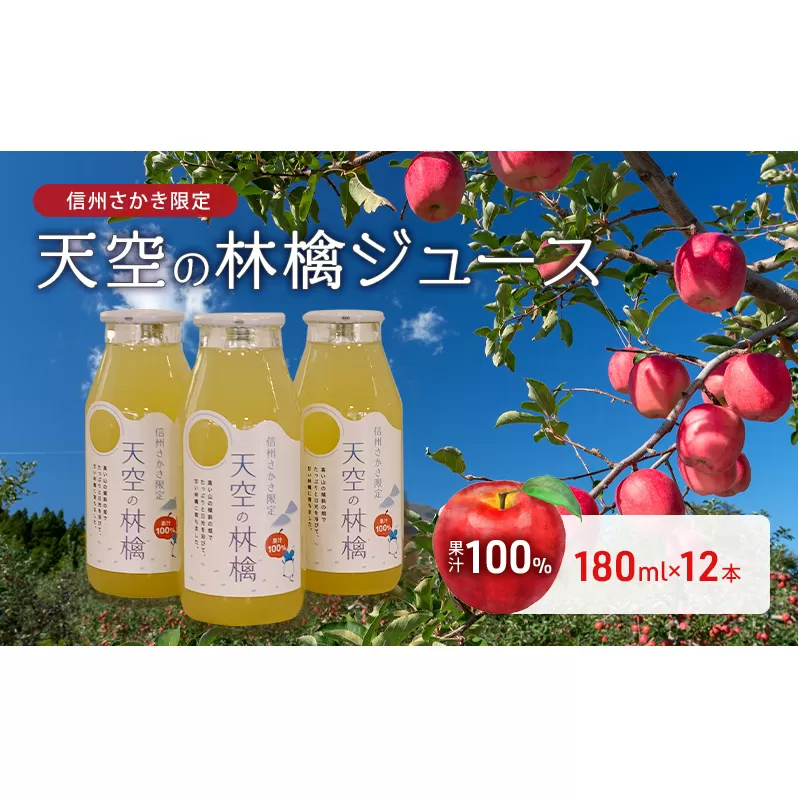 坂城町産りんご「天空の林檎」果汁100%りんごジュース　180ml12本入り