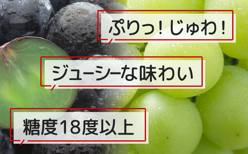 種無し 巨峰 シャインマスカット 約2kg 4～6房 宮原ぶどう園 ぶどう 長野 マスカット ブドウ フルーツ 果物 シャイン｜坂城町｜長野県｜返礼品をさがす｜まいふる  by AEON CARD