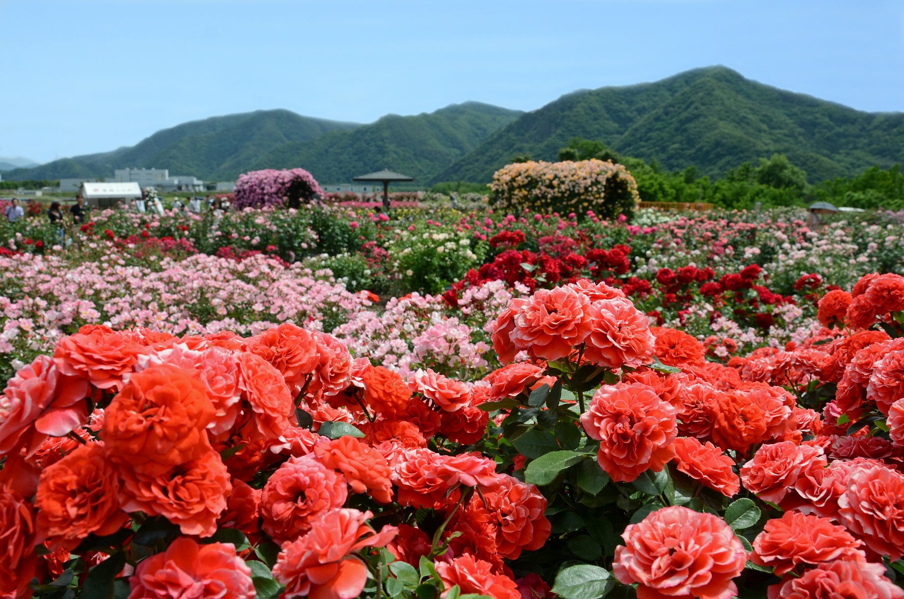 長野県坂城町