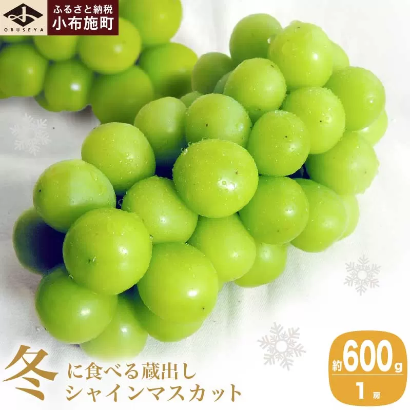 蔵出し冬のシャインマスカット 約600g 1房 ［小布施屋］ぶどう フルーツ 果物 くだもの 長野県 先行予約 冷蔵便 クール便  産地直送 令和7年産【2025年11月中旬～2026年2月発送】