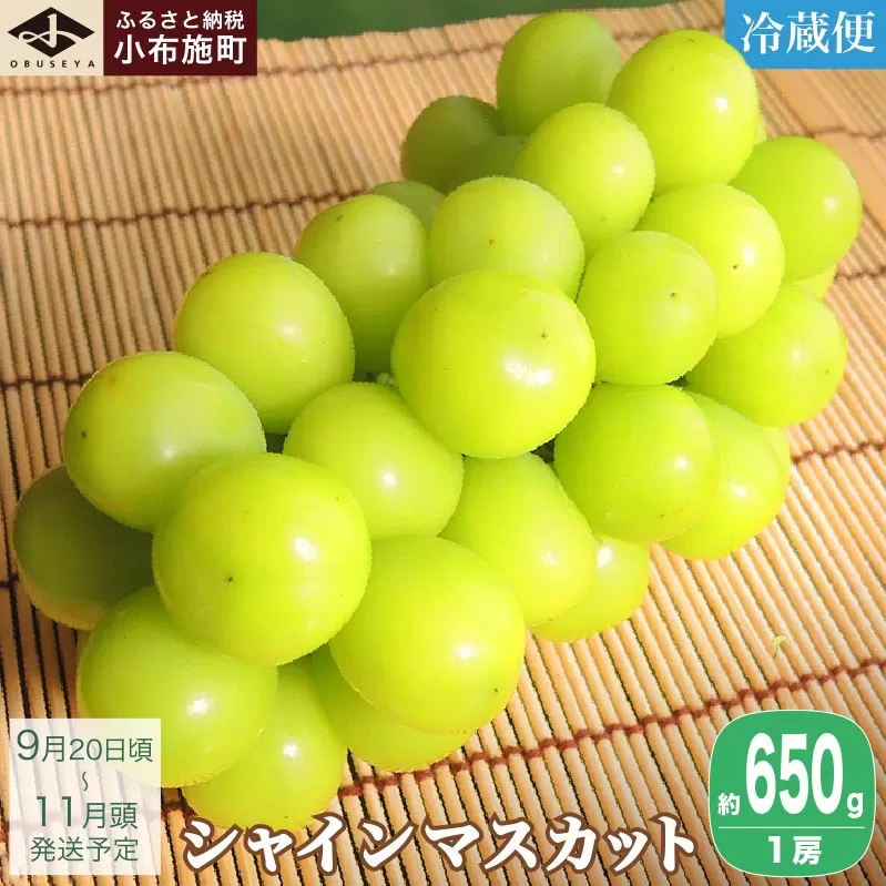 シャインマスカット 約650g 1房 ［小布施屋］ フルーツ 果物 くだもの ぶどう 葡萄 ブドウ 数量限定 クール便配送 長野県産 産地直送 先行予約 送料無料 2025 2025年発送 令和7年産 【2025年9月20日頃～11月頭にかけて順次発送】