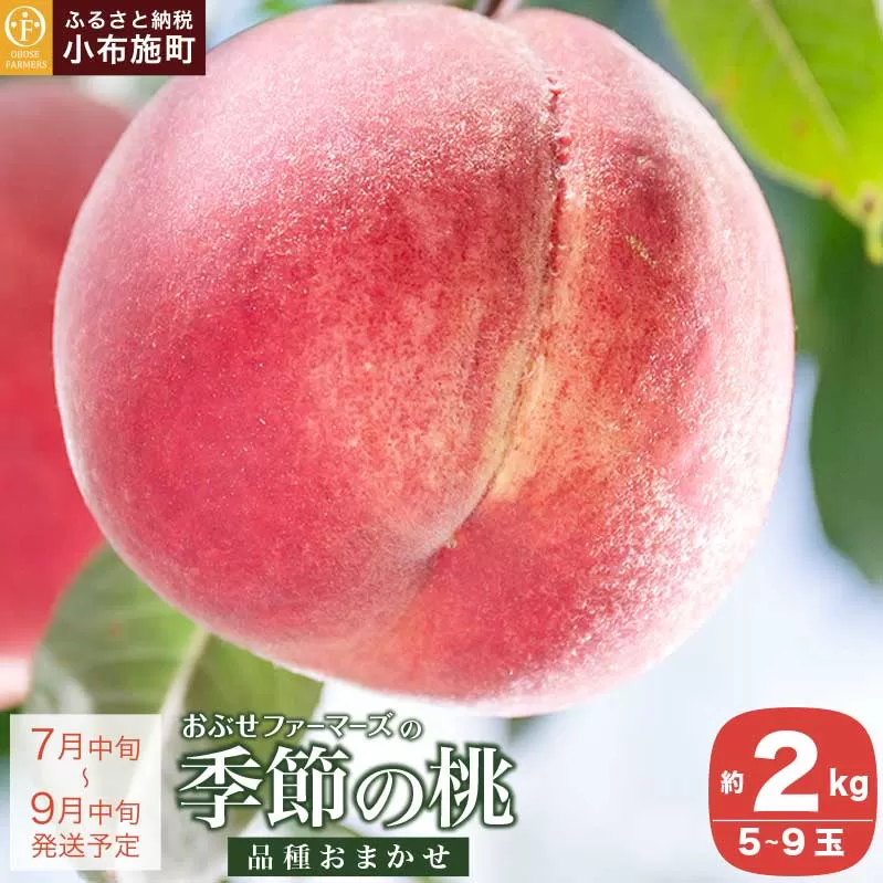 季節の桃 約2kg 5～9玉 ［ おぶせファーマーズ ］ モモ ピーチ フルーツ 果物 あかつき 川中島白鳳 なつっこ 川中島白桃 黄金桃 だて白桃 先行予約 長野県産 クール便 冷蔵便 産地直送 令和7年産【2025年7月中旬～9月中旬発送】